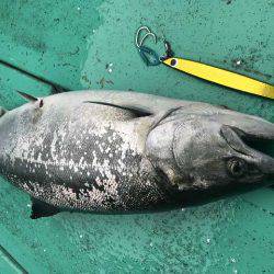 広進丸 釣果
