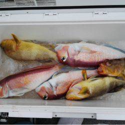 第二大福丸 釣果