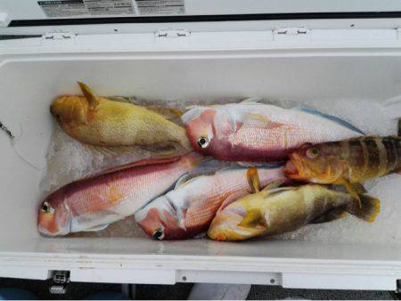 第二大福丸 釣果