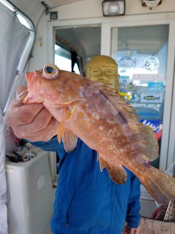 遊漁船 ニライカナイ 釣果