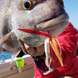 遊漁船 ニライカナイ 釣果