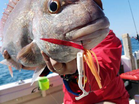 遊漁船 ニライカナイ 釣果