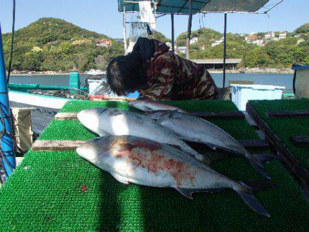 カタタのつり堀 釣果