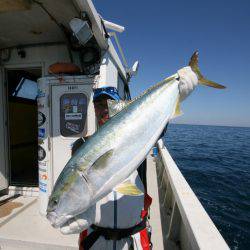 オーシャンズ　京都 釣果