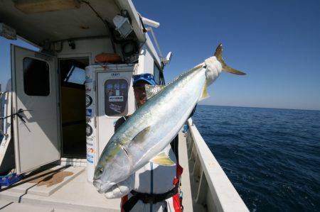 オーシャンズ　京都 釣果