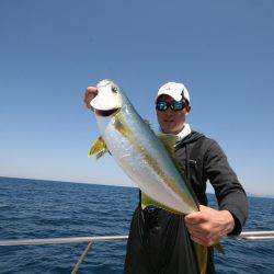 オーシャンズ　京都 釣果