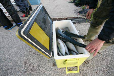 オーシャンズ　京都 釣果