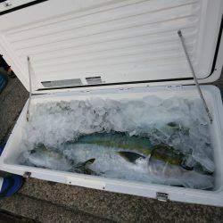 オーシャンズ　京都 釣果