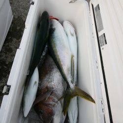 オーシャンズ　京都 釣果