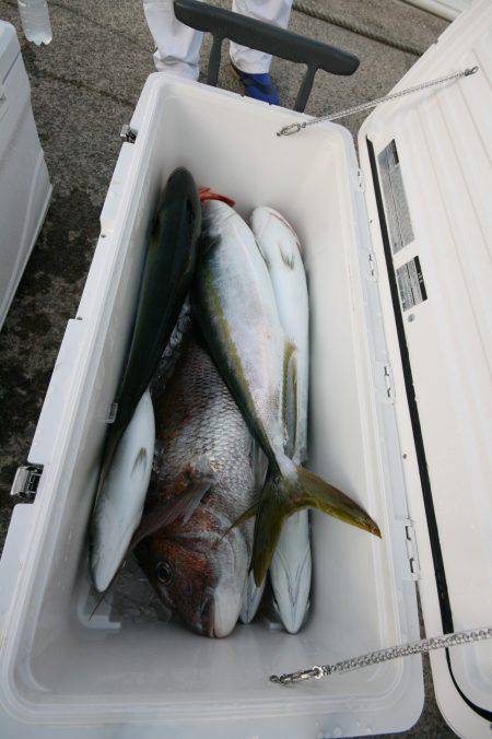 オーシャンズ　京都 釣果