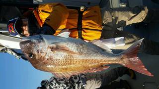 ディープ オーシャン 釣果