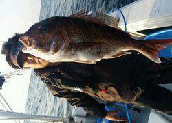 ディープ オーシャン 釣果