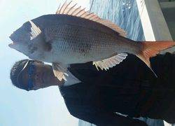 ディープ オーシャン 釣果