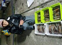 ディープ オーシャン 釣果