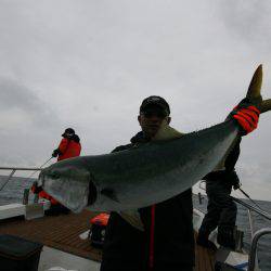オーシャンズ　京都 釣果