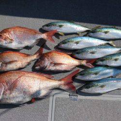 へいみつ丸 釣果