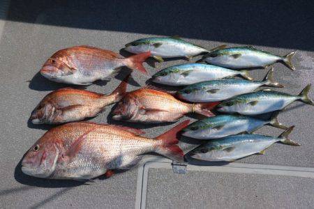 へいみつ丸 釣果