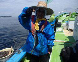 久里浜黒川本家 釣果