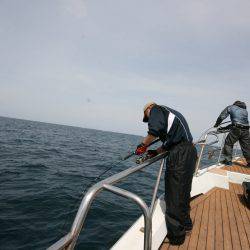 オーシャンズ　京都 釣果