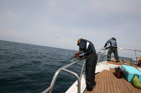 オーシャンズ　京都 釣果