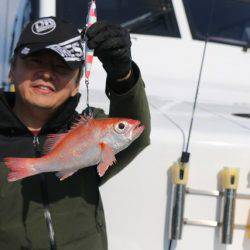 へいみつ丸 釣果