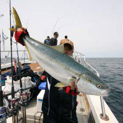 オーシャンズ　京都 釣果