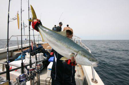 オーシャンズ　京都 釣果