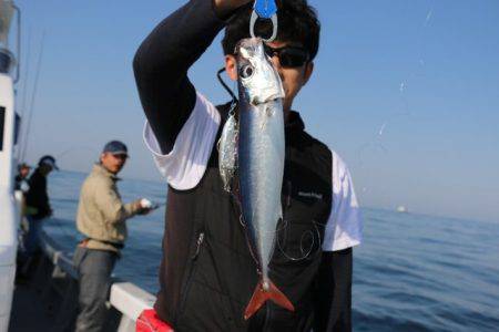 へいみつ丸 釣果