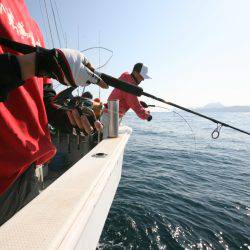 オーシャンズ　京都 釣果