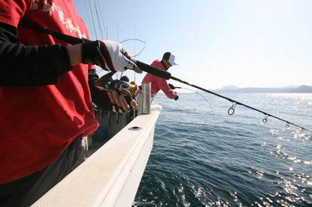 オーシャンズ　京都 釣果