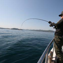 オーシャンズ　京都 釣果