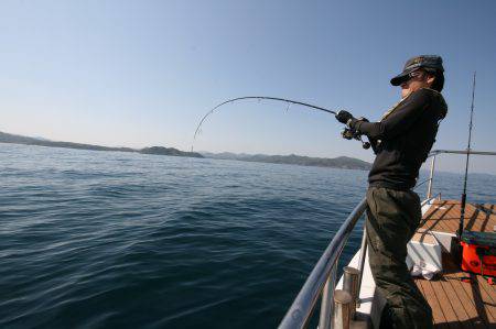 オーシャンズ　京都 釣果