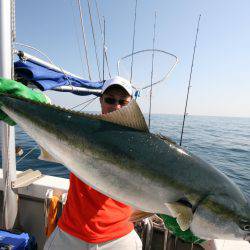 オーシャンズ　京都 釣果