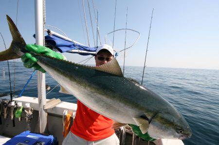 オーシャンズ　京都 釣果