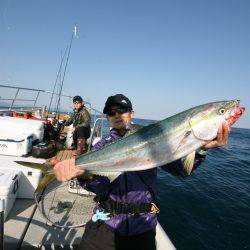 オーシャンズ　京都 釣果