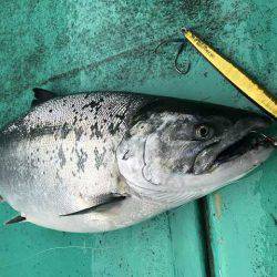 広進丸 釣果