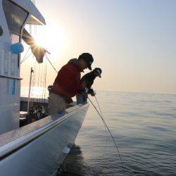 へいみつ丸 釣果
