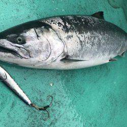 広進丸 釣果