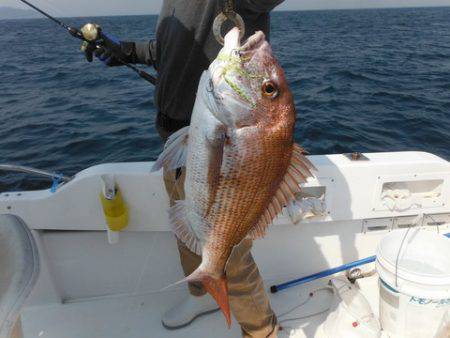 開進丸 釣果