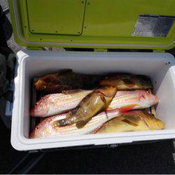 第二大福丸 釣果