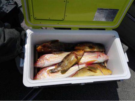 第二大福丸 釣果