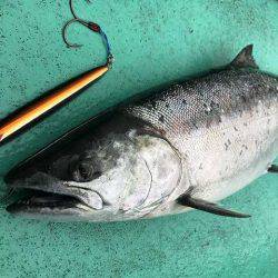 広進丸 釣果
