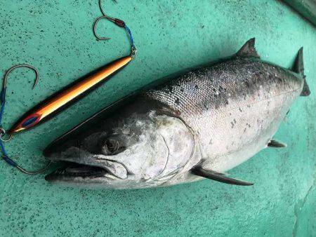 広進丸 釣果