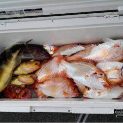 第二大福丸 釣果