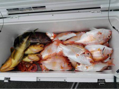 第二大福丸 釣果