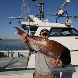 オーシャンズ　京都 釣果
