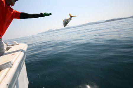 オーシャンズ　京都 釣果