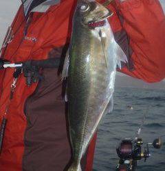 松福丸 釣果