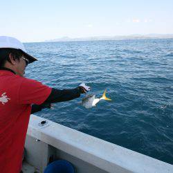 オーシャンズ　京都 釣果