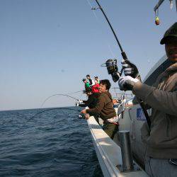 オーシャンズ　京都 釣果